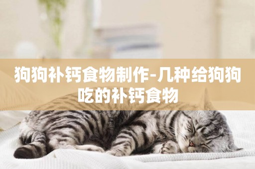 狗狗補鈣食物制作-幾種給狗狗吃的補鈣食物