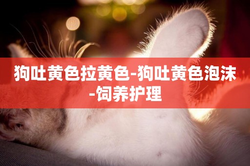 狗吐黃色拉黃色-狗吐黃色泡沫-飼養護理
