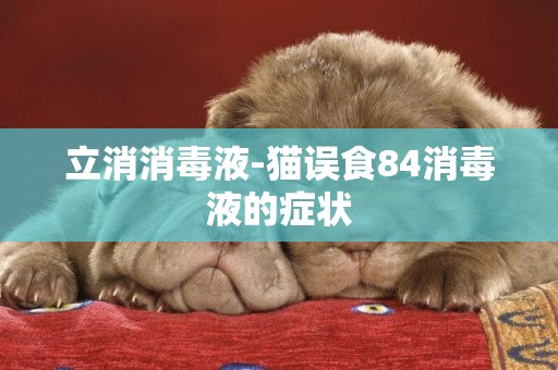 立消消毒液-貓誤食84消毒液的癥狀