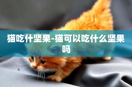 貓吃什堅果-貓可以吃什么堅果嗎