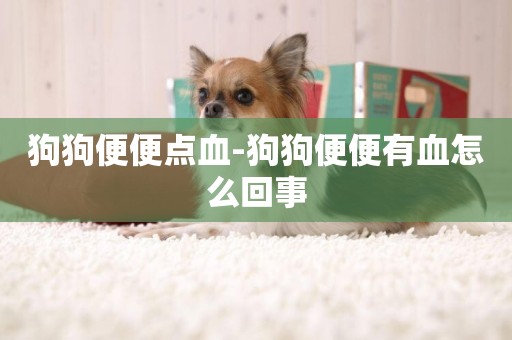 狗狗便便點血-狗狗便便有血怎么回事