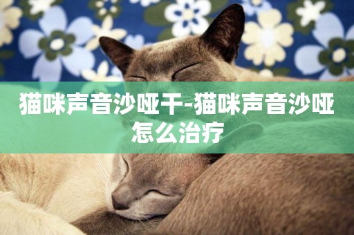 貓咪聲音沙啞干-貓咪聲音沙啞怎么治療