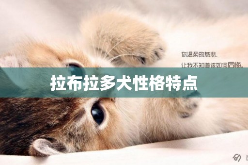 拉布拉多犬性格特點