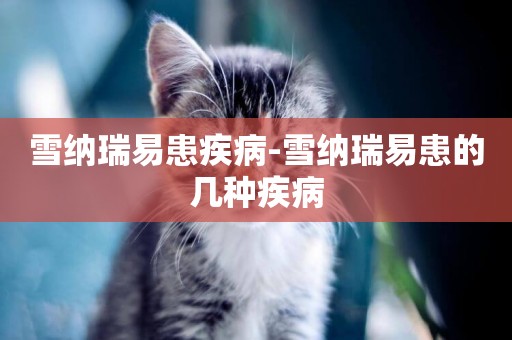 雪納瑞易患疾病-雪納瑞易患的幾種疾病