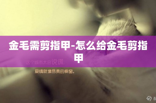金毛需剪指甲-怎么給金毛剪指甲