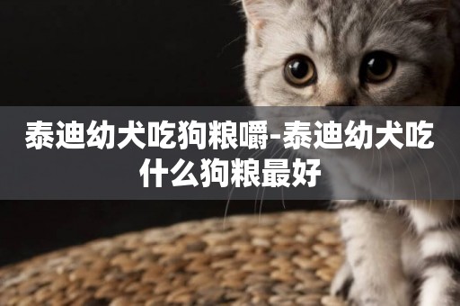 泰迪幼犬吃狗糧嚼-泰迪幼犬吃什么狗糧最好