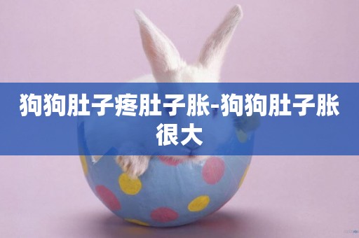 狗狗肚子疼肚子脹-狗狗肚子脹很大