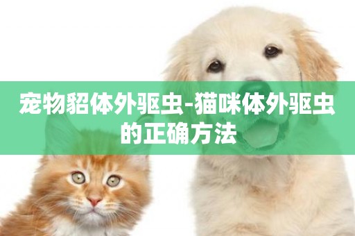 寵物貂體外驅蟲-貓咪體外驅蟲的正確方法