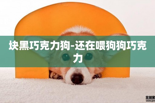 塊黑巧克力狗-還在喂狗狗巧克力