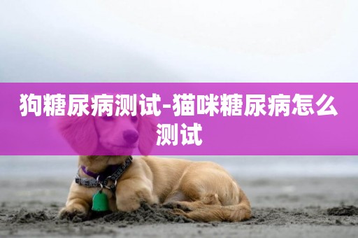 狗糖尿病測試-貓咪糖尿病怎么測試