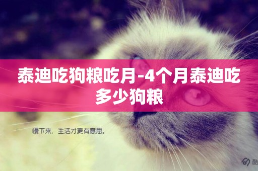 泰迪吃狗糧吃月-4個月泰迪吃多少狗糧