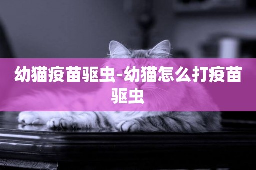 幼貓疫苗驅蟲-幼貓怎么打疫苗驅蟲