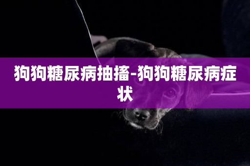 狗狗糖尿病抽搐-狗狗糖尿病癥狀