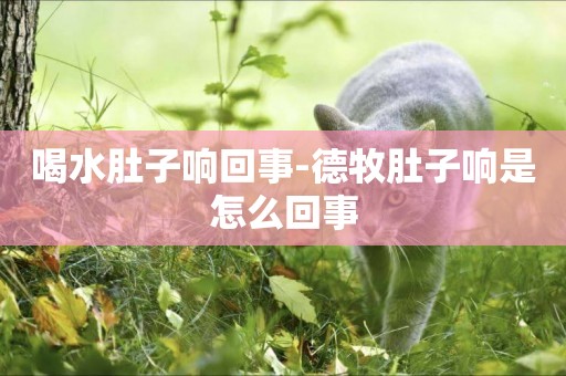 喝水肚子響回事-德牧肚子響是怎么回事