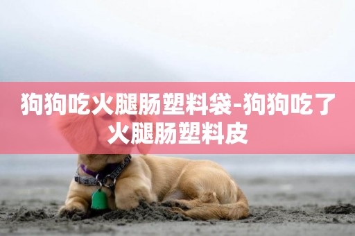狗狗吃火腿腸塑料袋-狗狗吃了火腿腸塑料皮