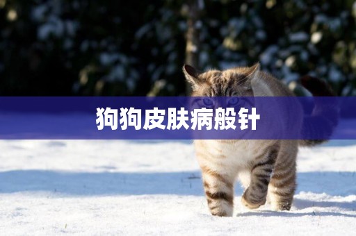 狗狗皮膚病般針