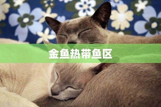 金魚熱帶魚區