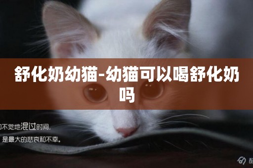 舒化奶幼貓-幼貓可以喝舒化奶嗎