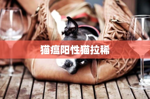 貓瘟陽性貓拉稀