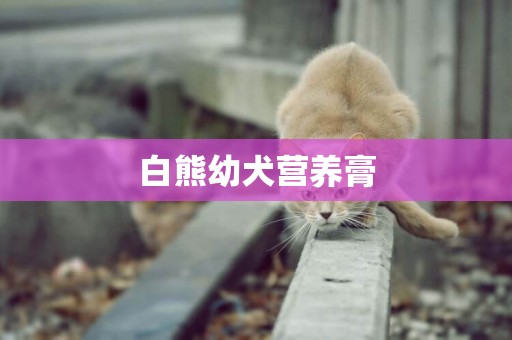 白熊幼犬營養膏