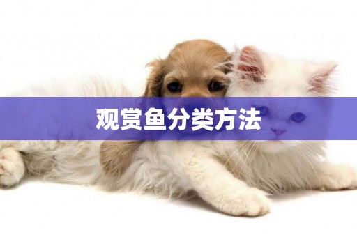 觀賞魚分類方法