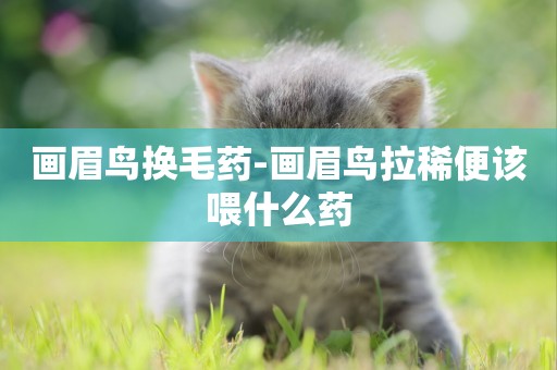 畫眉鳥換毛藥-畫眉鳥拉稀便該喂什么藥