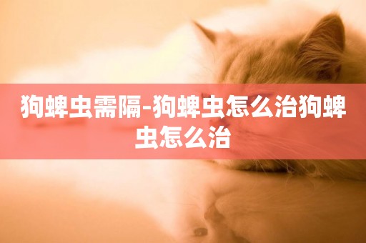 狗蜱蟲需隔-狗蜱蟲怎么治狗蜱蟲怎么治