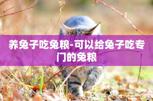 養兔子吃兔糧-可以給兔子吃專門的兔糧