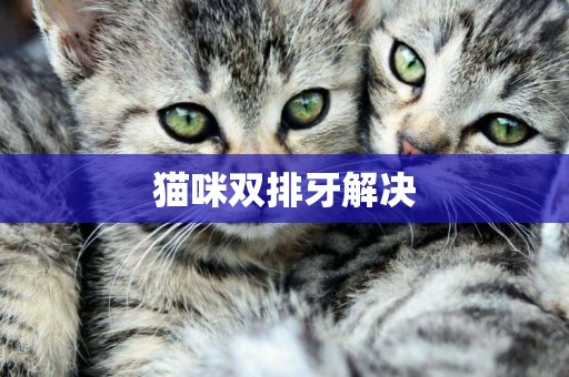 貓咪雙排牙解決