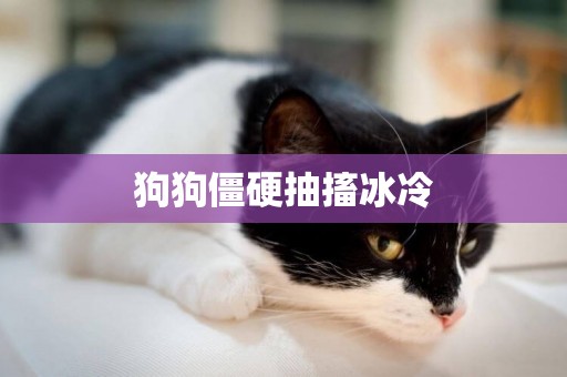 狗狗僵硬抽搐冰冷
