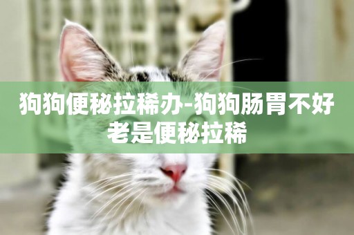 狗狗便秘拉稀辦-狗狗腸胃不好老是便秘拉稀