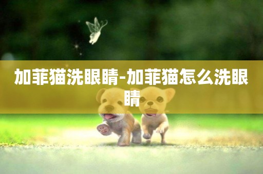 加菲貓洗眼睛-加菲貓怎么洗眼睛