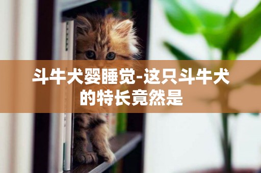 斗牛犬嬰睡覺-這只斗牛犬的特長竟然是