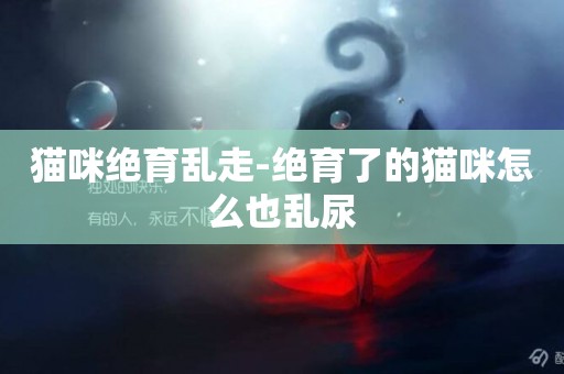貓咪絕育亂走-絕育了的貓咪怎么也亂尿