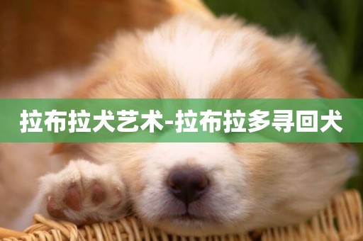 拉布拉犬藝術-拉布拉多尋回犬