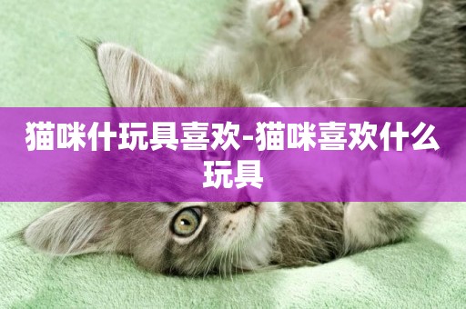 貓咪什玩具喜歡-貓咪喜歡什么玩具