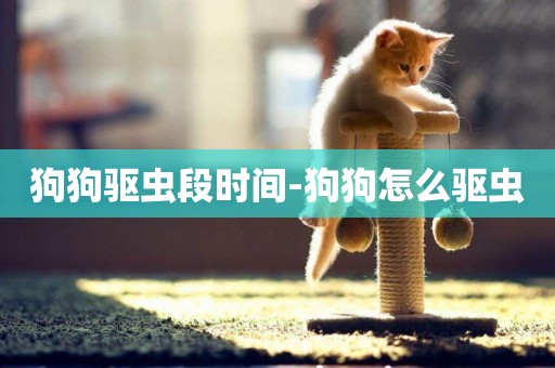 狗狗驅蟲段時間-狗狗怎么驅蟲
