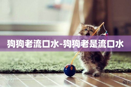 狗狗老流口水-狗狗老是流口水