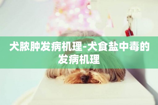 犬膿腫發病機理-犬食鹽中毒的發病機理