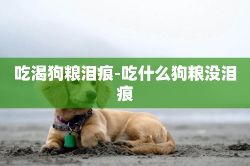 吃渴狗糧淚痕-吃什么狗糧沒淚痕