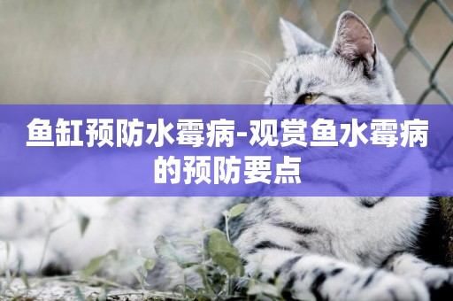 魚缸預防水霉病-觀賞魚水霉病的預防要點