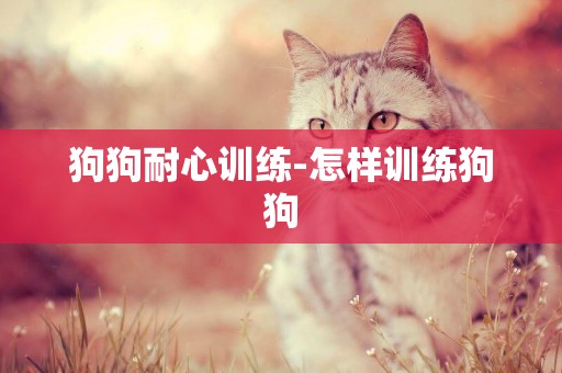 狗狗耐心訓練-怎樣訓練狗狗