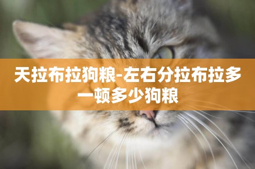 天拉布拉狗糧-左右分拉布拉多一頓多少狗糧