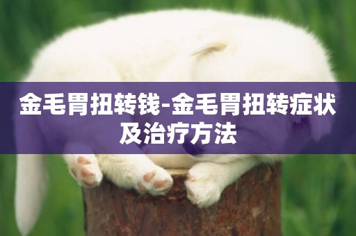 金毛胃扭轉錢-金毛胃扭轉癥狀及治療方法