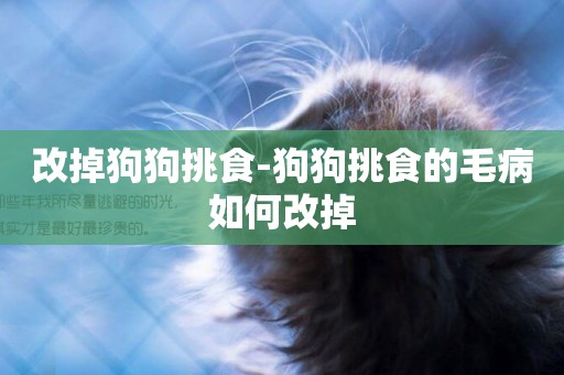 改掉狗狗挑食-狗狗挑食的毛病如何改掉