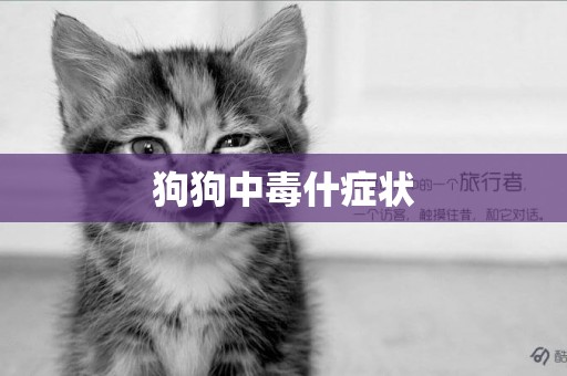 狗狗中毒什癥狀