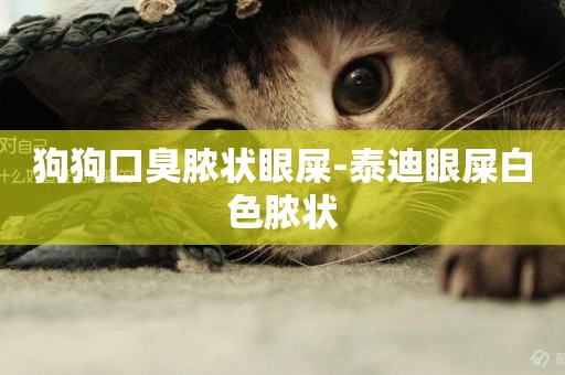 狗狗口臭膿狀眼屎-泰迪眼屎白色膿狀