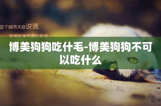 博美狗狗吃什毛-博美狗狗不可以吃什么