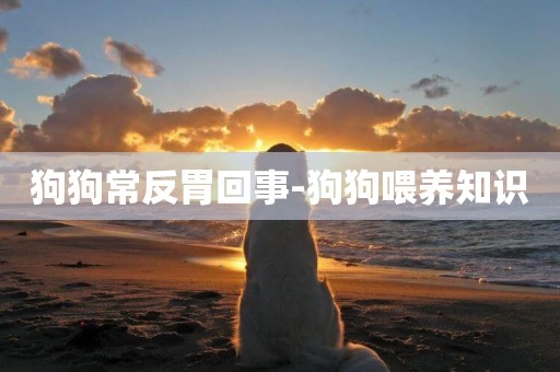 狗狗常反胃回事-狗狗喂養知識