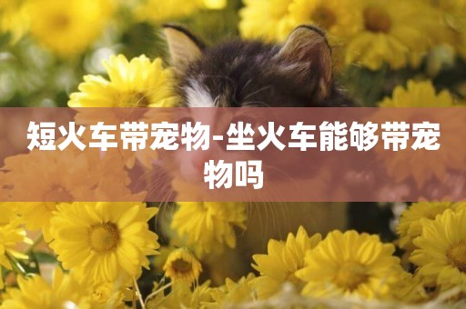 短火車帶寵物-坐火車能夠帶寵物嗎